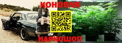 спайс Коммунар