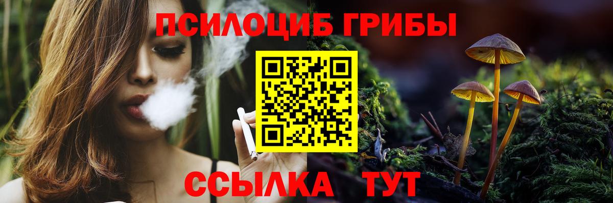 Ярцево  Псилоцибиновые грибы прущие грибы  Вход с VPN 