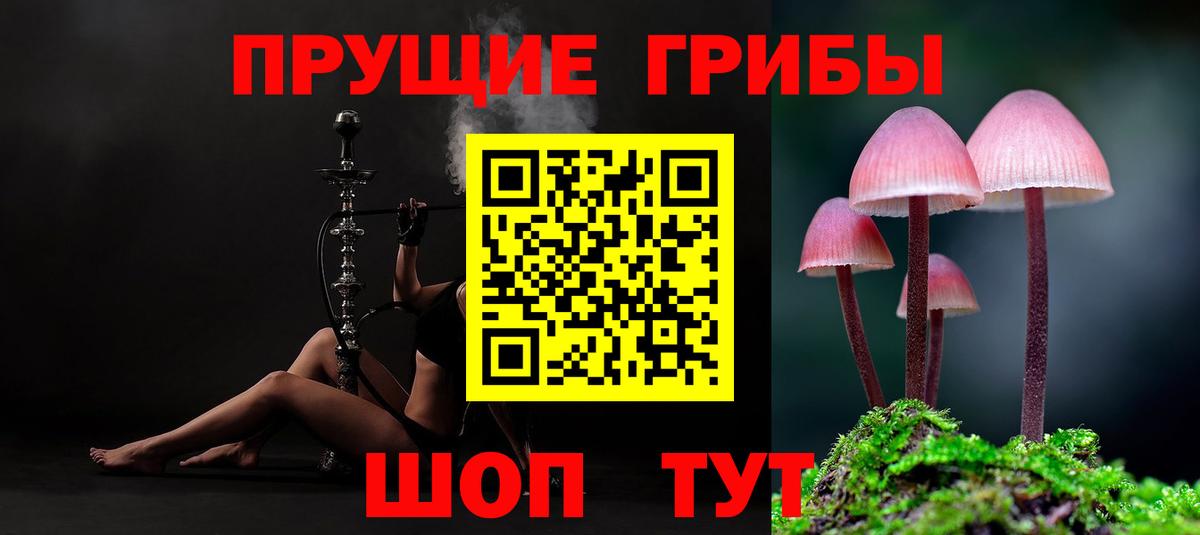 Псилоцибиновые грибы Psilocybine cubensis Ярцево